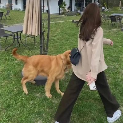 荒漠干戈